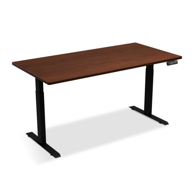 Deskup-Dual-Motor-Standing-Desk