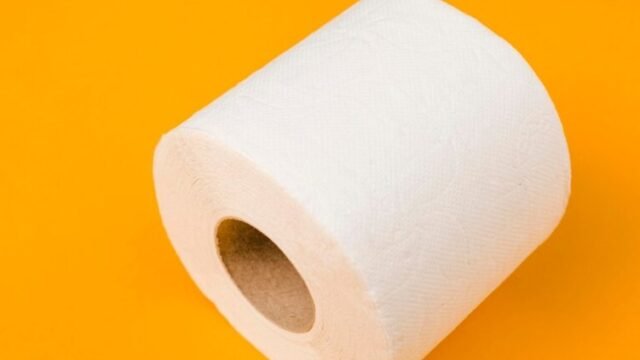 KAPLAN-DISTRIBUTORS-paper-towel-roll1