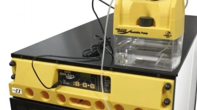 Top-Knot-Poultry-Supplies-Cabinet-Incubator