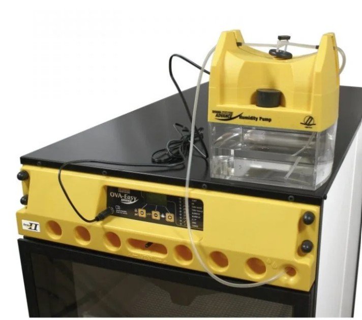 Top-Knot-Poultry-Supplies-Cabinet-Incubator
