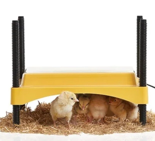 Top-Knot-Poultry-Supplies-Brinsea-Brooder