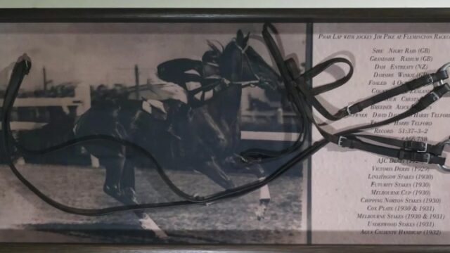 CREATIVE-FRAMING-Memorabilia-Framing