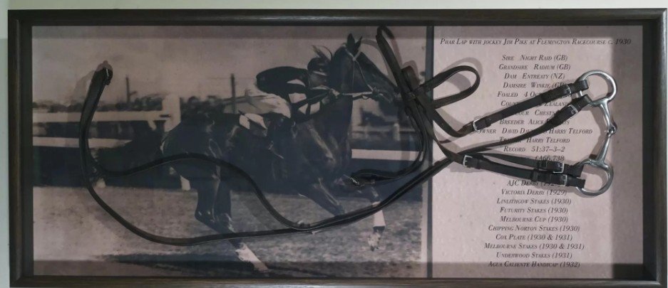 CREATIVE-FRAMING-Memorabilia-Framing