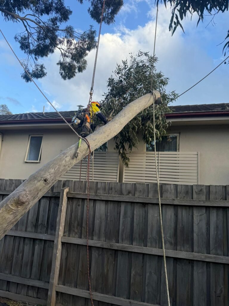 emergency-call-outs-melbourne