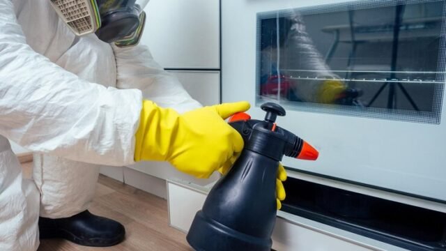 end-of-lease-pest-control1