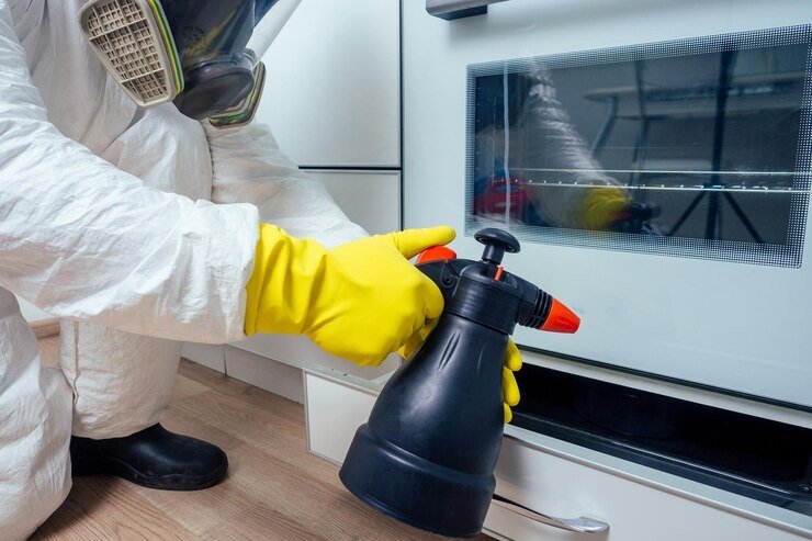 end-of-lease-pest-control1